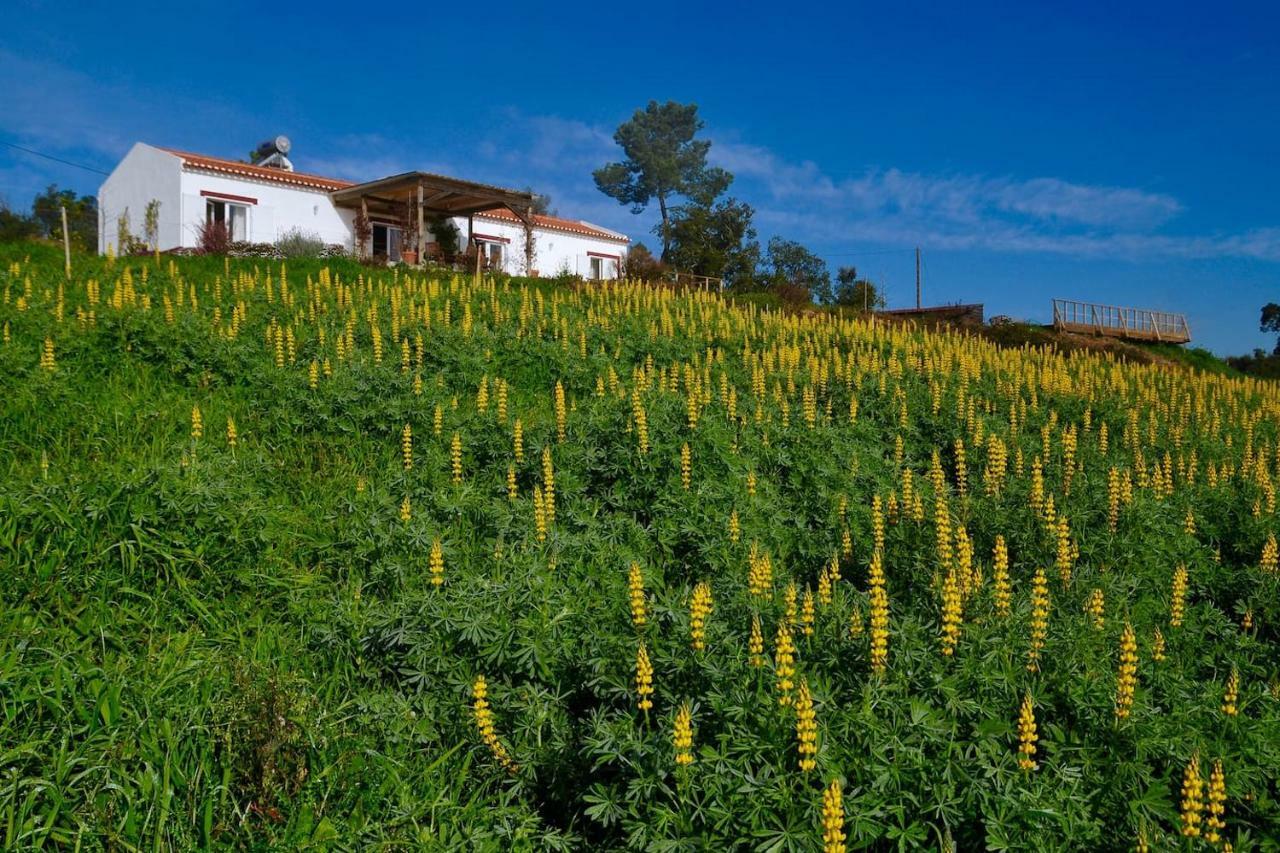 Cal Velho - Holiday Lodge Sao Luis Luaran gambar